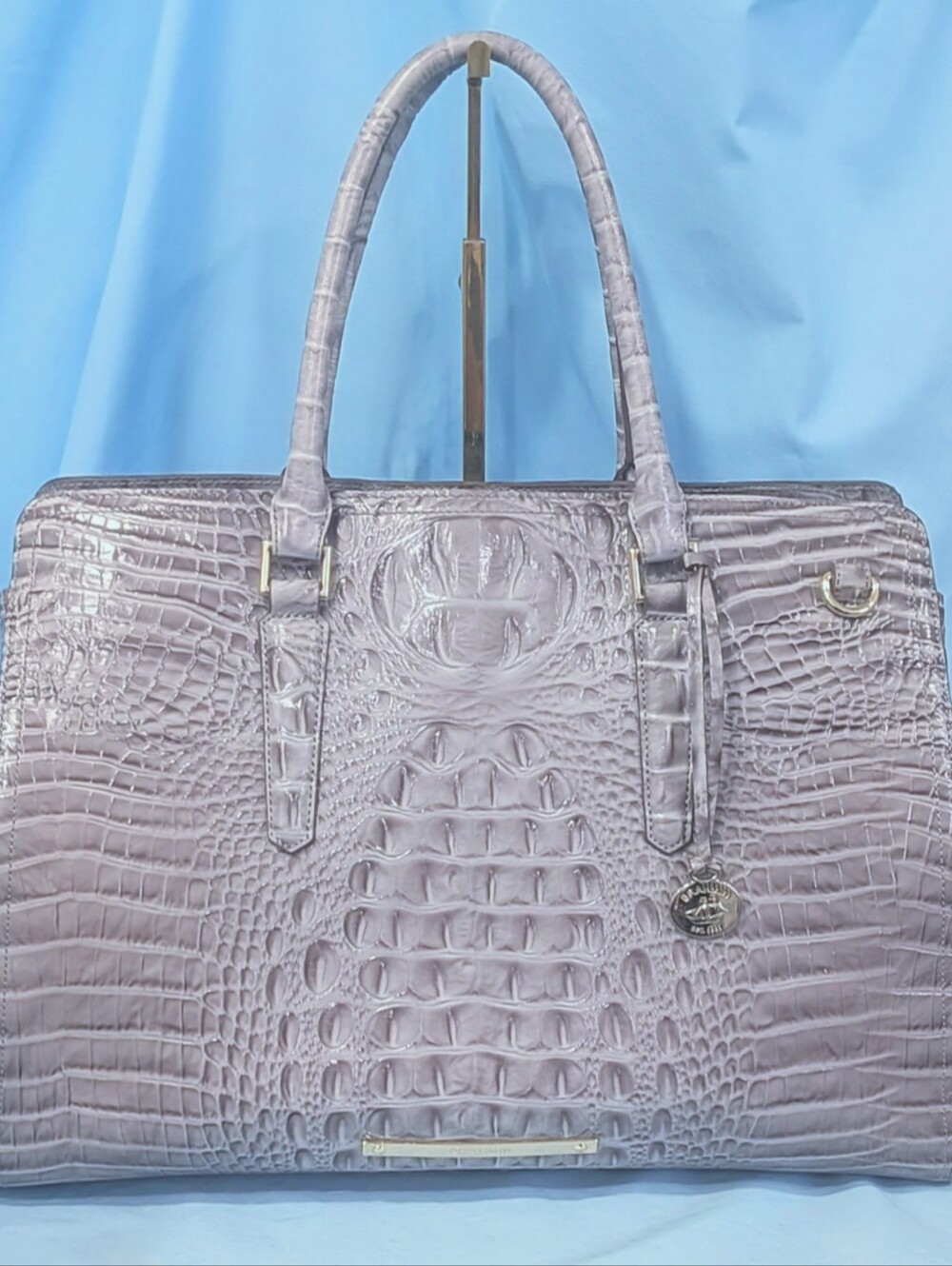 VEUC Brahmin Finley Carryall in Quill